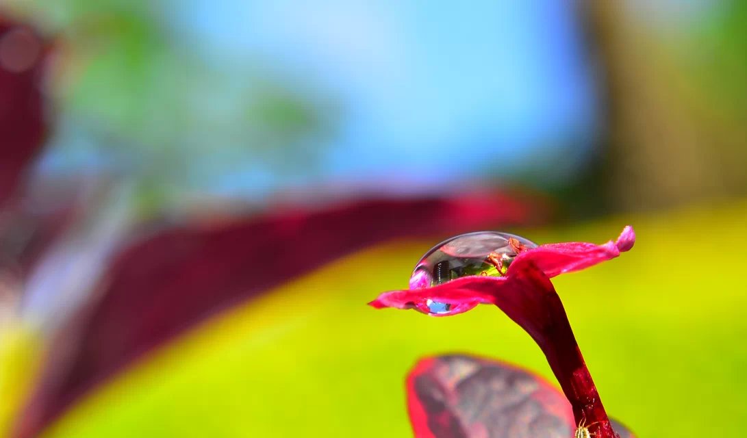 抑郁症的调节、改善及心理咨询，图片摄影：老韩